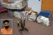 Nebraska Trooper and K9 Gable Seize 525 Pounds of Cocaine in Traffic Stop