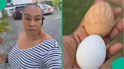 Nigerian Businesswoman Shows Unusual Eggs with Stretch Marks at Farm