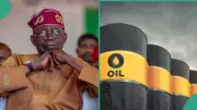 Nigeria's Crude Oil Hits $116 Per Barrel, Surpasses Brent and WTI
