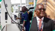 NNPC Challenges Dangote in Court, Says Petrol Importation Must Continue