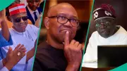 Obi Claims He Creates More Wealth Than Tinubu, Kwankwaso