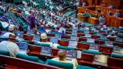 Reps Urge FG to Halt Business Permits for S'African Firms Over Xenophobia