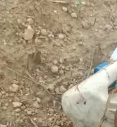 Suspected Herders Kill Man in Plateau, Troops Launch Manhunt