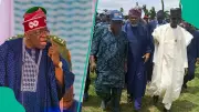 Tinubu Approves 1,000 Forest Guards for Oyo After Delegation Visit