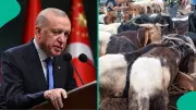 Turkey Declares Public Holiday for Eid Al Adha, Extends to Nine Days