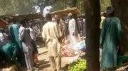 UN Urges Independent Probes into Deadly Nigeria, Chad Air Strikes