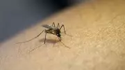 US Commits $8 Million to Malaria Fight in Akwa Ibom State