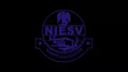 Valuation Can Unlock N500 Trillion for Nigeria, Says NIESV