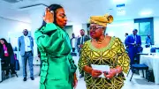 WTO Secures N295m to Support Trade in Developing Economies