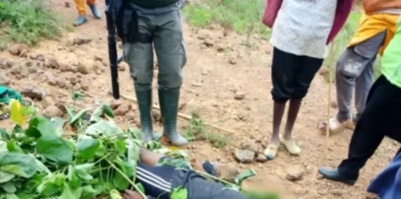 22-Year-Old Man Killed in Plateau Community Attack