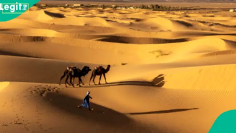 49 Die in Sahara Desert After Truck Breakdown From Mali