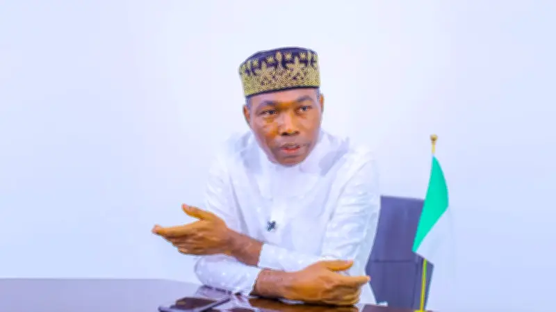 Adebayo: Nigeria Still Under Civil Rule, Not True Democracy