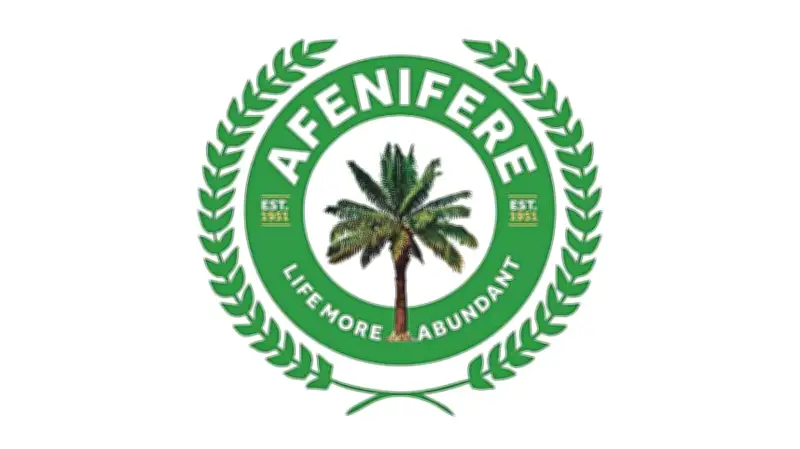 Afenifere Demands Decisive Action as Kidnappings Escalate in Oyo, Southwest