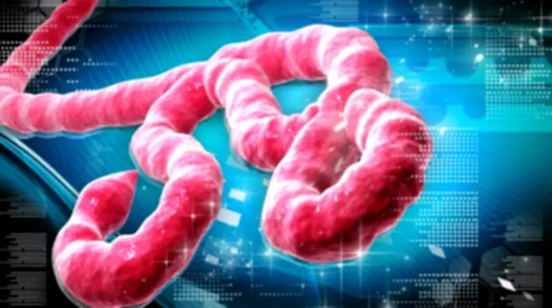 Anambra, Ebonyi, Enugu activate Ebola response mechanisms