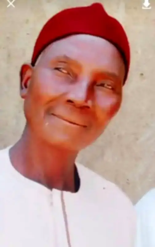 Bandits kill vigilante and two farmers in Niger State attack