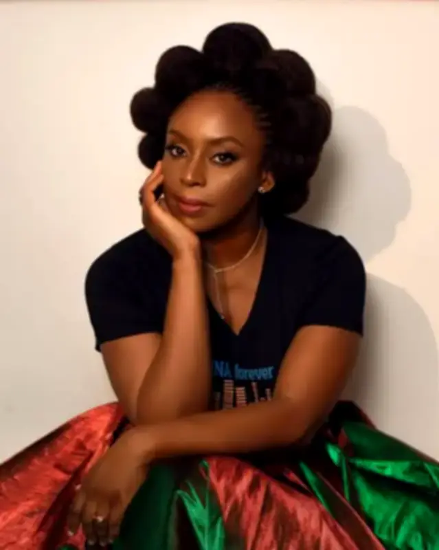 Chimamanda Adichie Accuses Euracare of Robbing Her of Peace to Mourn Son