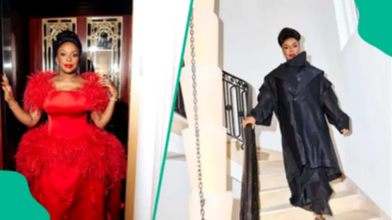 Chimamanda Adichie Calls Out Euracare Hospital Over Late Son's Death