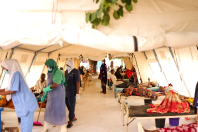 Cholera Outbreak Claims 74 Lives, Over 7,800 Cases Strain Borno Facilities