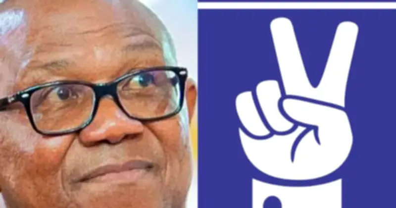 Court Nullifies NDC Registration Months After Peter Obi Emerges Presidential Candidate