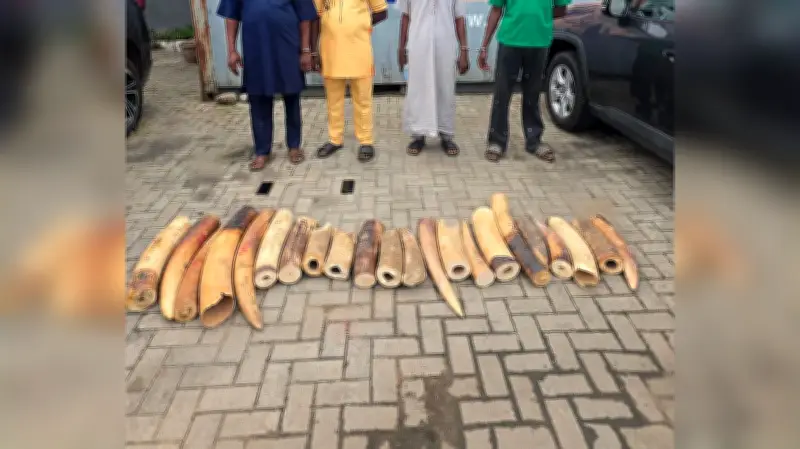 Customs Seizes 130kg Elephant Tusks, Arrests Four Traffickers