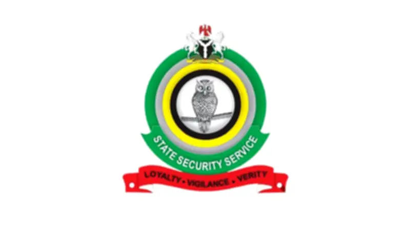 DSS Rejects Foreign Funding for Security Operations, Cites Sovereignty Concerns