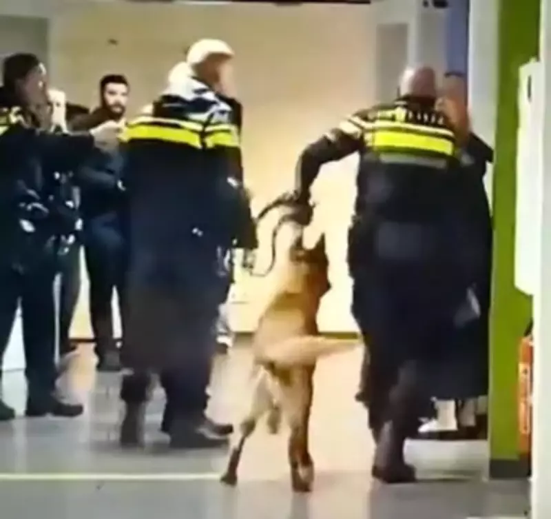 Dutch Police Drag Pregnant Woman by Hair in Viral Video