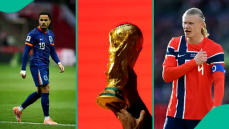 Erling Haaland, Kluivert, Simeone, Zidane: Father-Son World Cup Legacy