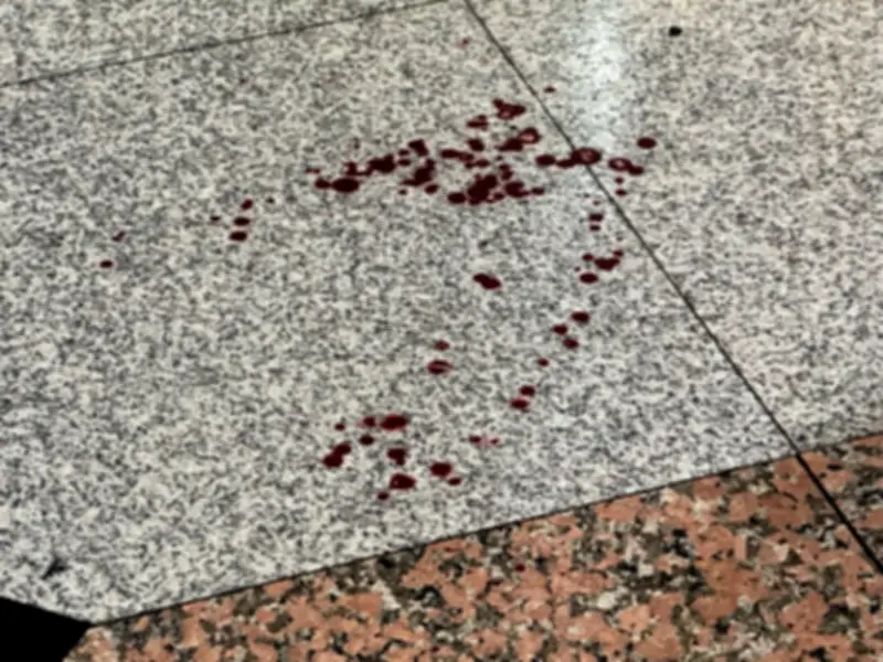 Five Injured in Stabbing at New York's Penn Station
