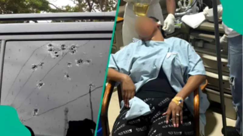 Ghana Police Arrest Six Guards After Adwoa Safo Injured in Shooting