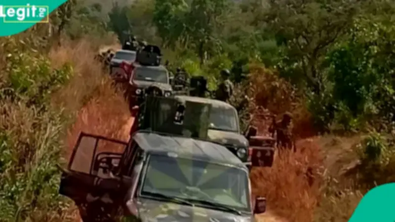 Gunmen Abduct Students Writing SSCE in Borno, Teacher Killed
