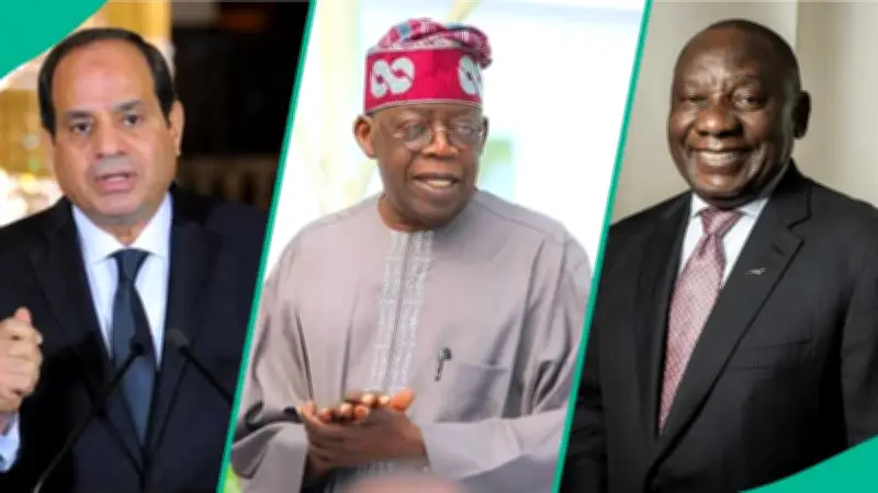 IMF Names Africa's Top 10 Richest Economies for 2026, Nigeria Records Massive GDP Jump