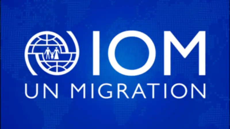 IOM Urges Media to Use Dignified Terms for Voluntary Returnees