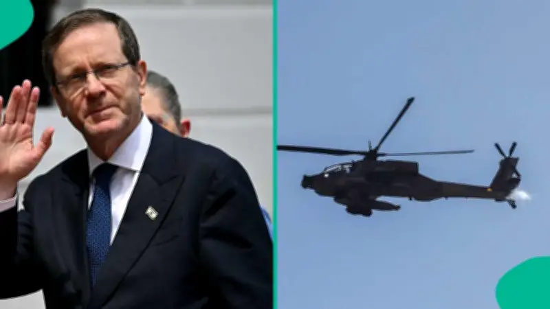 Israeli Air Force Helicopter Carrying President Herzog Makes Emergency Landing After Bird Strike