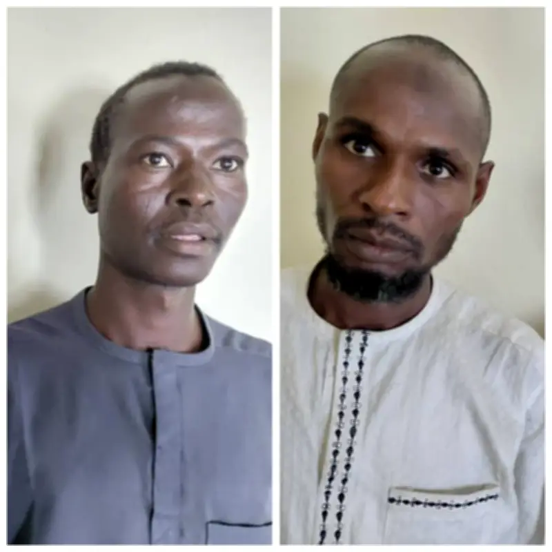 ISWAP Bomb Specialist Surrenders to Troops in Yobe State