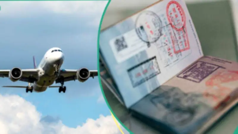 Japan Hikes Visa Fees for Nigerians 400%: First Revision Since 1978