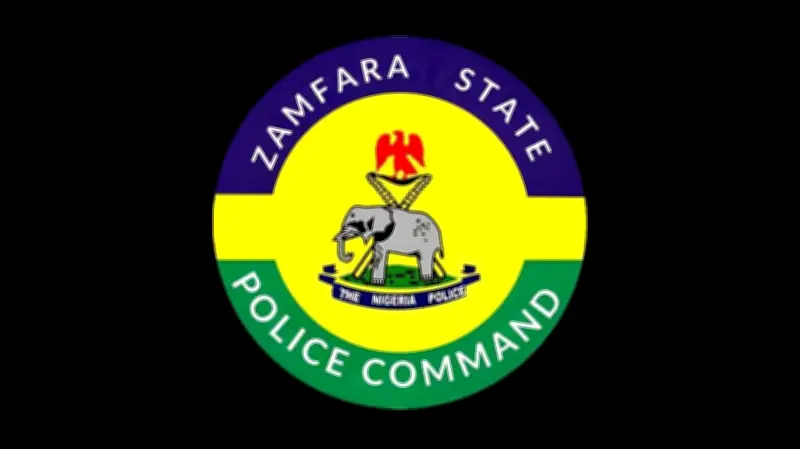 Joint operation foils bandit attack, kills six in Zamfara communities