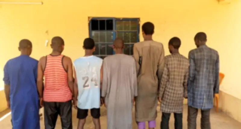 Kebbi Police Arrest Seven Suspected Bandits in Major Operation