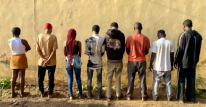 Kwara police arrest eight suspected cultists including three women in Ilorin