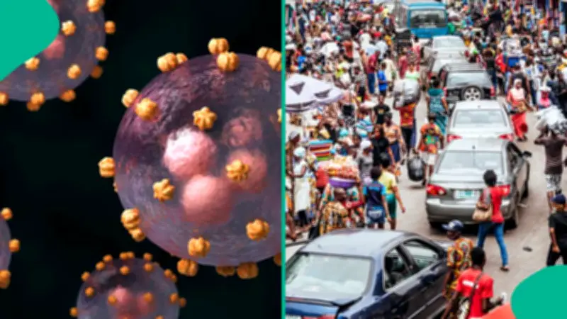 Lassa Fever Death Toll Hits 214 in Nigeria, Fatality Rate Climbs to 25%