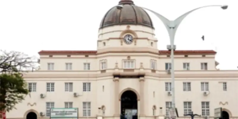 Murder Trial Moved After Stray Cat Invades Courtroom in Zimbabwe