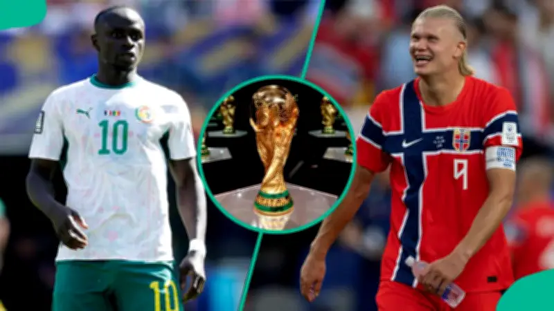 Mysterious Cat Predicts Norway vs Senegal 2026 World Cup Match Outcome