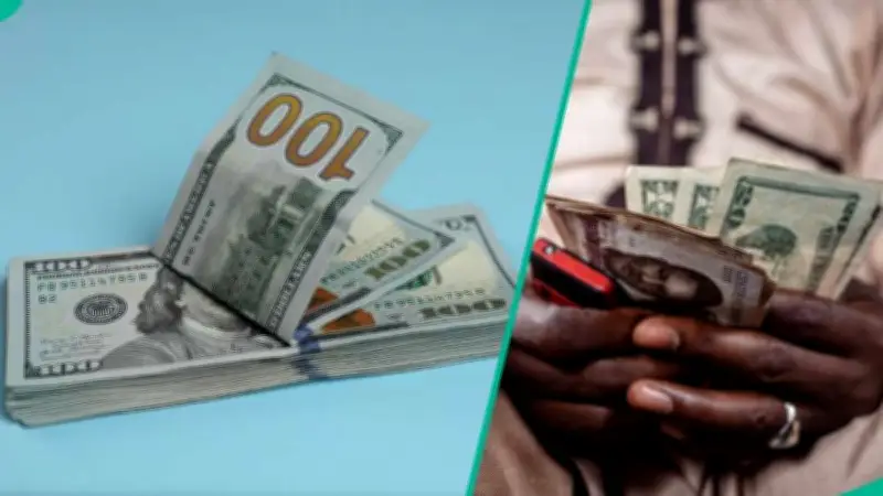 Naira Gains N5.74 Against Dollar at Official Market, Falls in Parallel Market