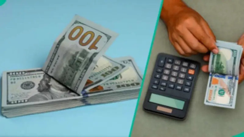 Naira Weakens Against Dollar in Official and Parallel Markets
