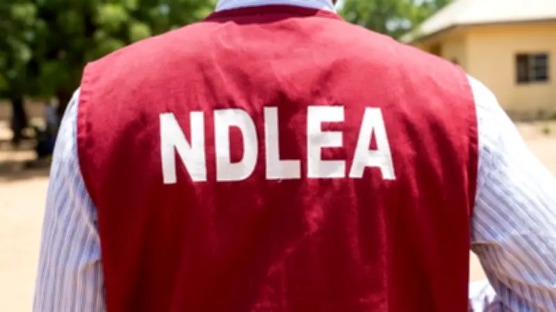 NDLEA, Group Warn Against Substance and Alcohol Abuse in Abuja