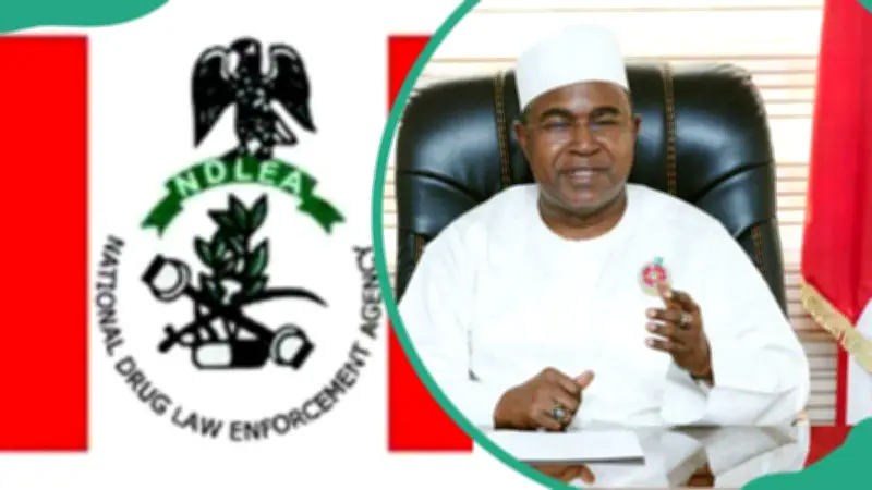 NDLEA Salary Structure 2026: Ranks, Pay, and Qualifications