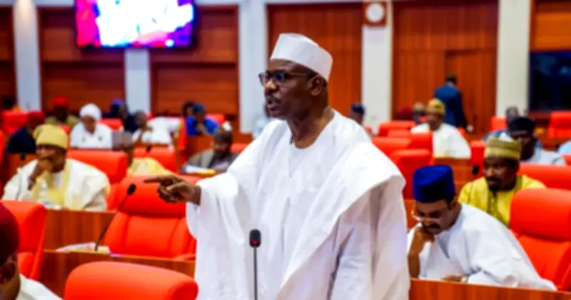 Ndume Urges US to Establish Military Base in Borno to Fight Boko Haram