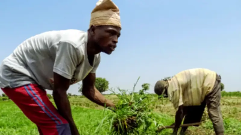 Nigeria Listed Among Hunger Hotspots for Acute Food Insecurity