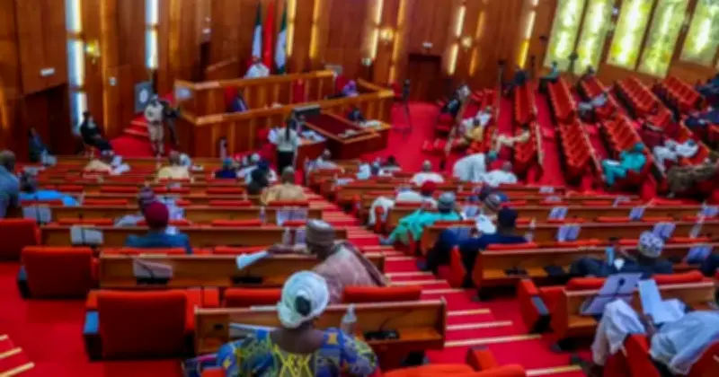 Nigerian Senate Considers Six-Year Single Tenure for Presidents, Governors