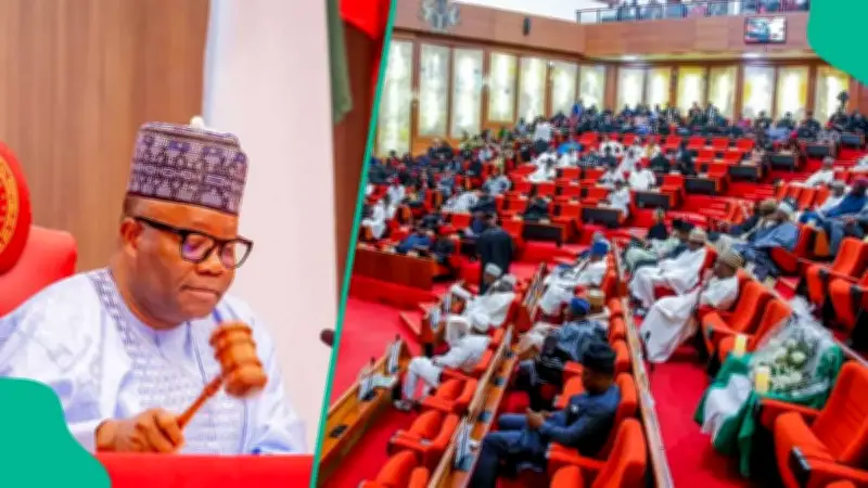 Nigerian Senate Holds Emergency Session to Pass State Police Bill