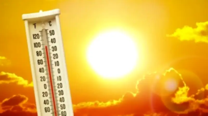 Nigeria's Growing Heat Crisis Demands Urgent National Action
